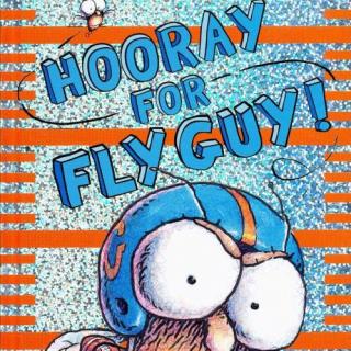 Hooray For Fly Guy!