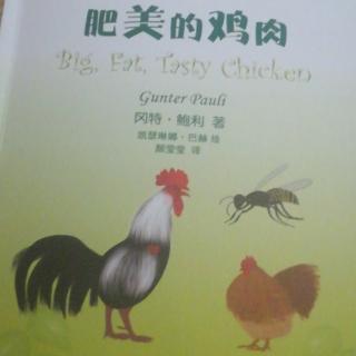 肥美的鸡肉🐔