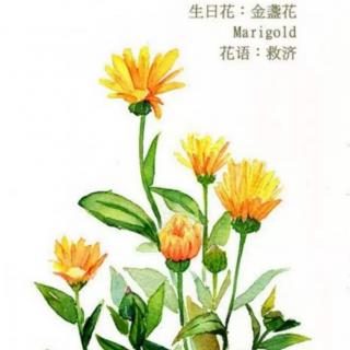 《江苏密卷》第22页