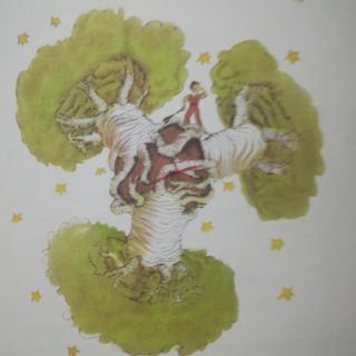 【小王子】5、猴面包树