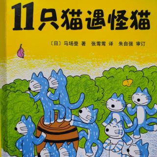 11猫🐱遇怪猫🐱