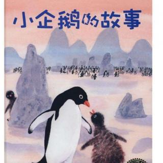 园长妈妈讲故事《勇敢的小企鹅》
