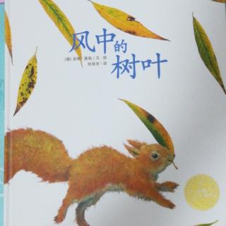 海豚绘本花园《风中的树叶》