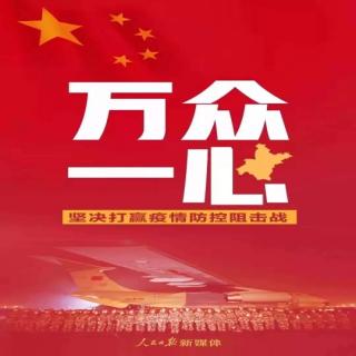 疫情下的中国真相