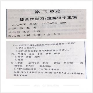 《能力》P29-30遨游汉字王国