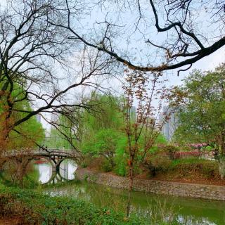 李清照《一剪梅》《武陵春》《醉花阴》