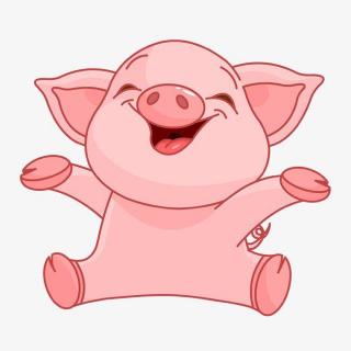 小猪🐷变干净了