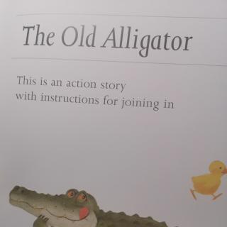 The old alligator