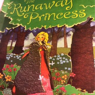 20200418 The runaway princess D2