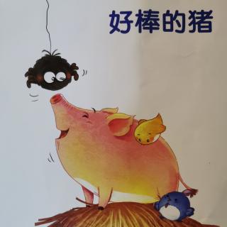 《好棒的猪🐷》