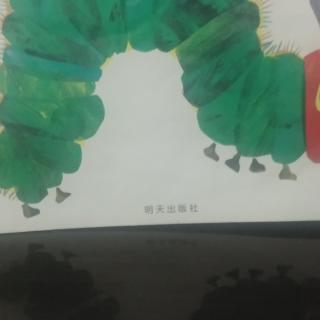 县幼儿园大八班郁镐泽《好饿的毛毛虫》