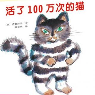 活了100万次的🐱