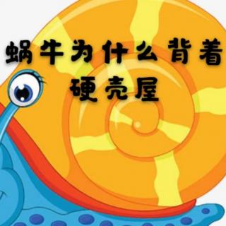 迪涛故事屋《蜗牛为什么背着硬壳屋》