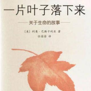 《一片葉子落下來》大二班-胡婉青（來自FM126693252）