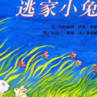 《逃家小兔》大二班–孙如钰（来自FM130318023）