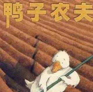 [中文绘本故事]——22《鸭子农夫》