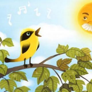 唱歌的小黄莺