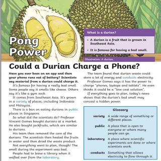 0418 daily news pong power