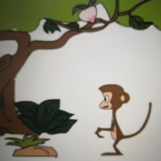 睡前故事《自作聪明的猴子》
