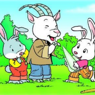 《小白兔和小灰兔》-北京乐迪幼儿园🐰