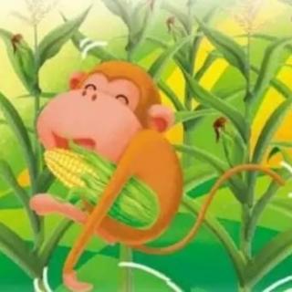 小猴子掰玉米