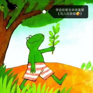 《鸟儿在歌唱💐》<青蛙弗洛格成长系列🐸>