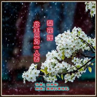 《梨花落 此生只为一人去》作者：吕秀彬 朗诵：莹丽亿番洛瓦