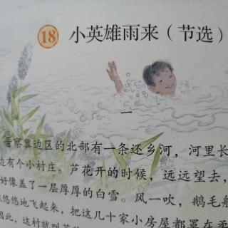 四下 18 小英雄雨来（节选）四，五，六