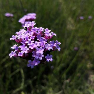 《与自已和解》第十七集