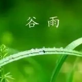 谷雨——且惜春光，且种希望

作者 | 谭旭颖 · 朗诵 |华丽人生