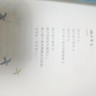 鸽子学飞