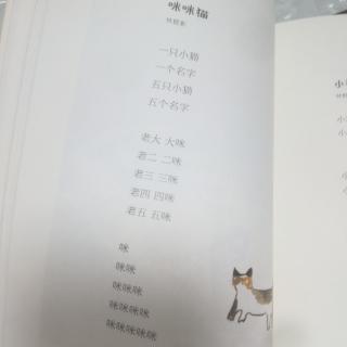 咪咪猫