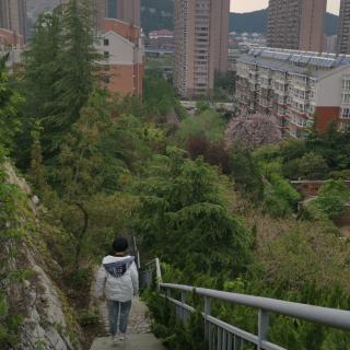 天会亮，雨会停，生活都是这样的