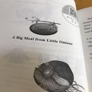 #1-7 A Big Meal from Little Onions 20200419