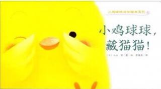 《小鸡🐥球球藏猫猫》