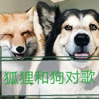 狐狸和狗对歌