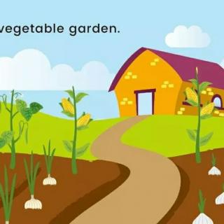 绘本阅读Vegetable garden