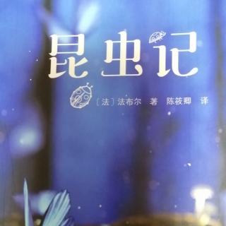 《昆虫记》：緑蚱蜢