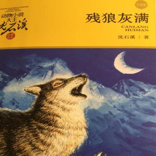 残狼灰满 第一章 三