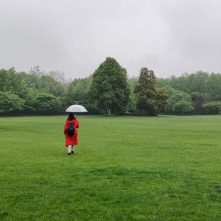 雨，为我而下的