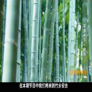 Homeland of bamboos-Anji🎋安吉