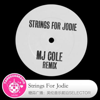 Strings For Jodie·糖蒜爱音乐之The Selector