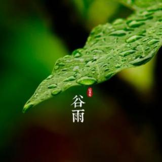 《谷雨》作者姚望喜诵读张卫国