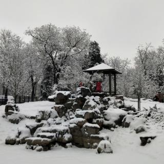 《雪落在中国的土地上》作者  艾青  诵读  吴建华