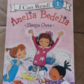 Amelia Bedelia Sleep Over By Darcy