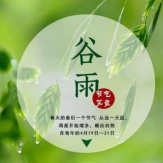 《谷雨》作者姚望喜诵读张卫国