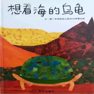 《想看海的乌龟》🐢