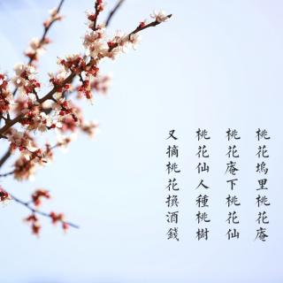 桃花红 文/段文彬