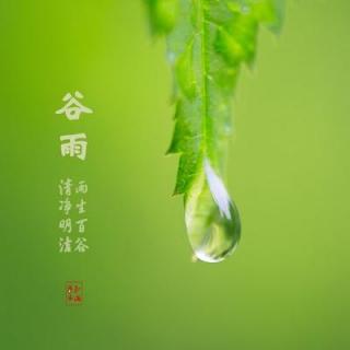 金茂举散文《谷雨时节》