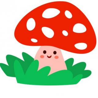 美丽的小蘑菇